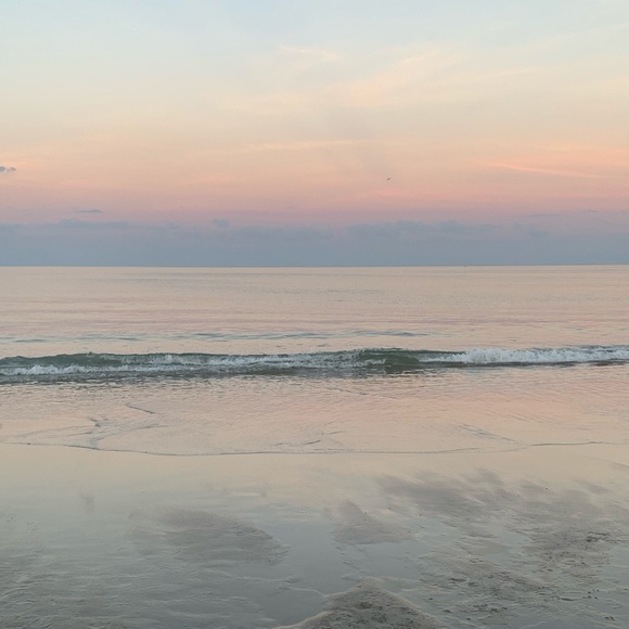 Meet your Posher, Cinderella - Picture 1 of 1